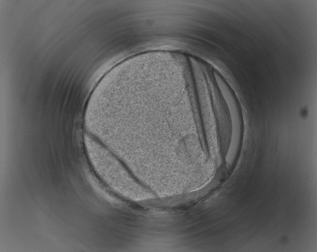 X0000115820850200912241933