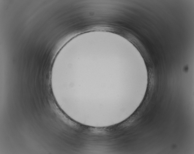 X0000115820852200912241933