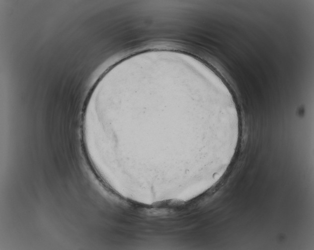 X0000115820853200912241933