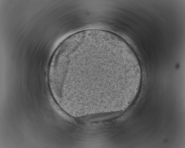 X0000115820854200912241933