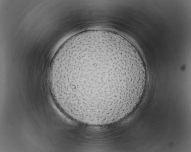 X0000115820855200912241933