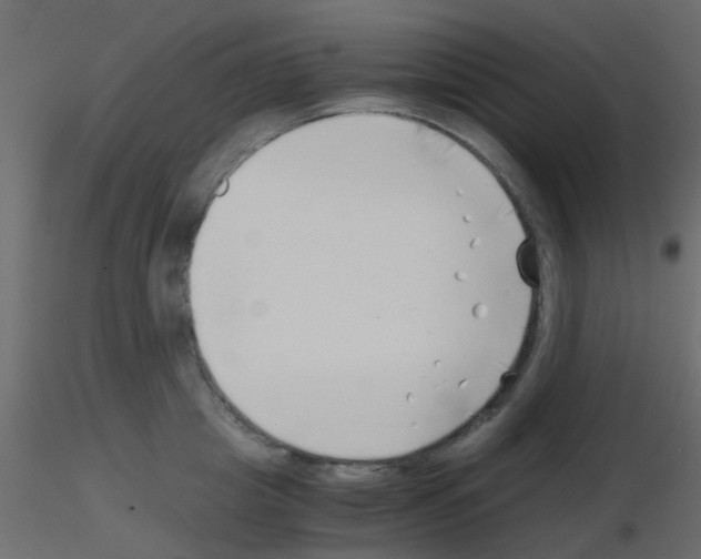 X0000115820857200912241933