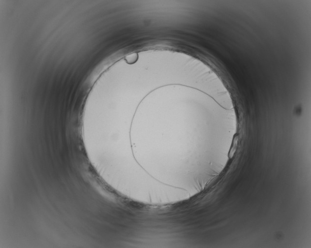 X0000115820858200912241933