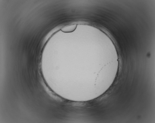 X0000115820861200912241933