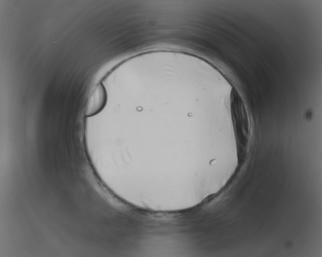 X0000115820862200912241933