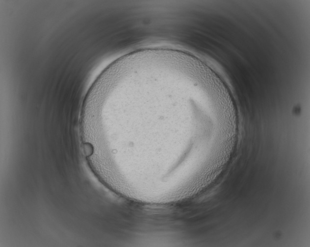 X0000115820863200912241933