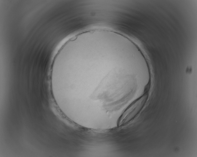 X0000115820864200912241933