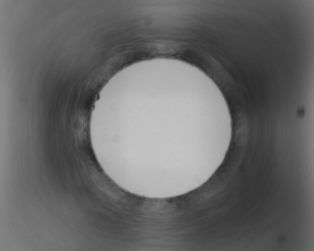 X0000115820866200912241933