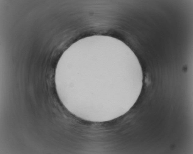 X0000115820867200912241933