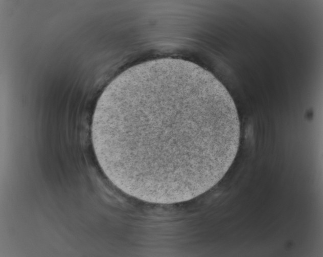 X0000115820868200912241933