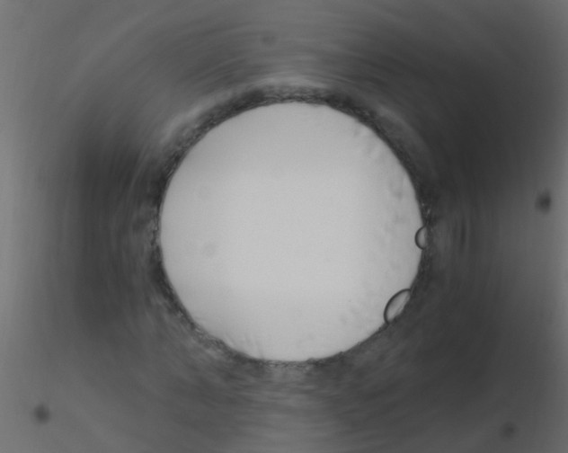 X0000115820870200912241933