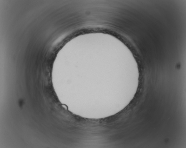 X0000115820871200912241933