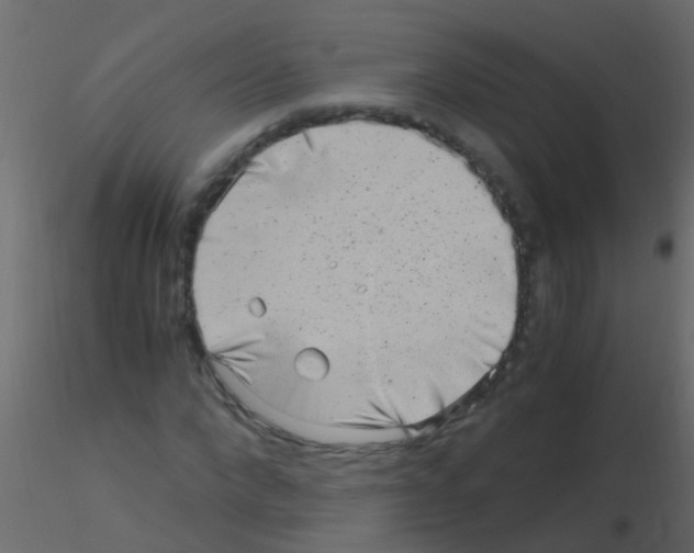 X0000115820872200912241933