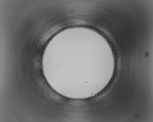 X0000115820873200912241933