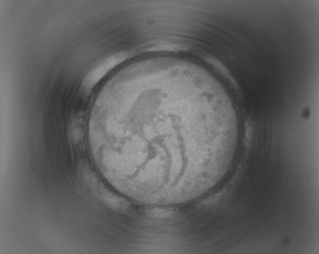 X0000115820874200912241933