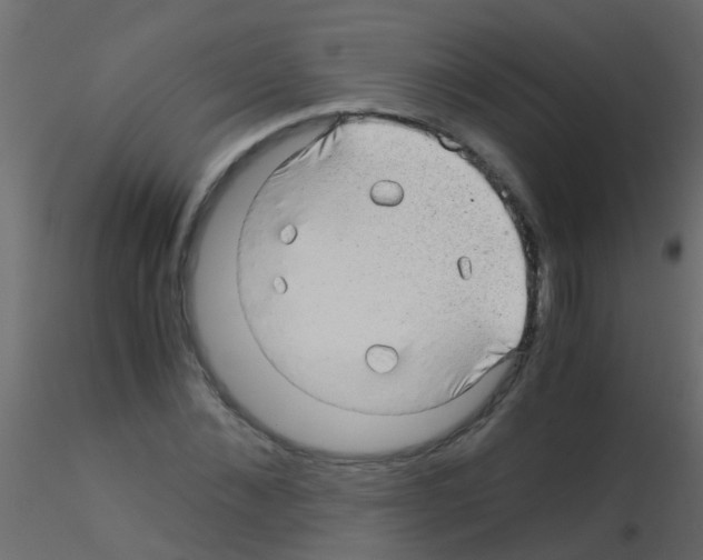 X0000115820876200912241933