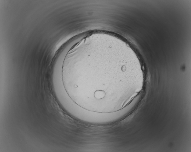 X0000115820877200912241933