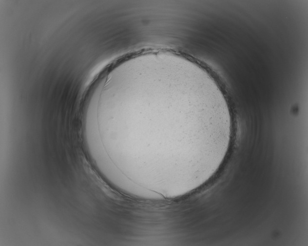 X0000115820878200912241933