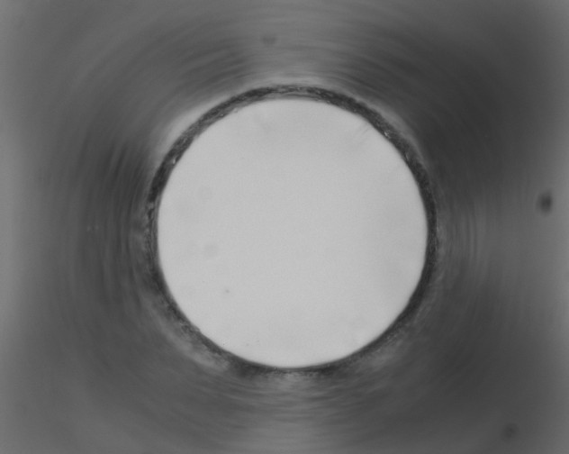 X0000115820879200912241933