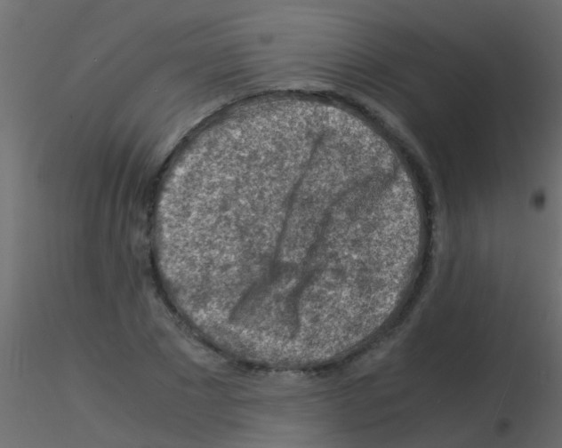 X0000115820881200912241933