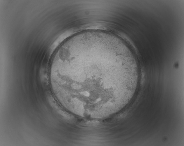 X0000115820882200912241933