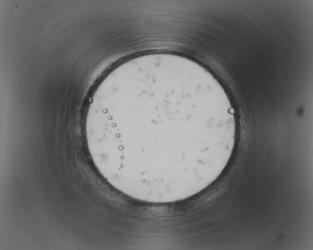 X0000115820883200912241933