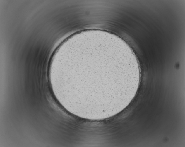 X0000115820884200912241933