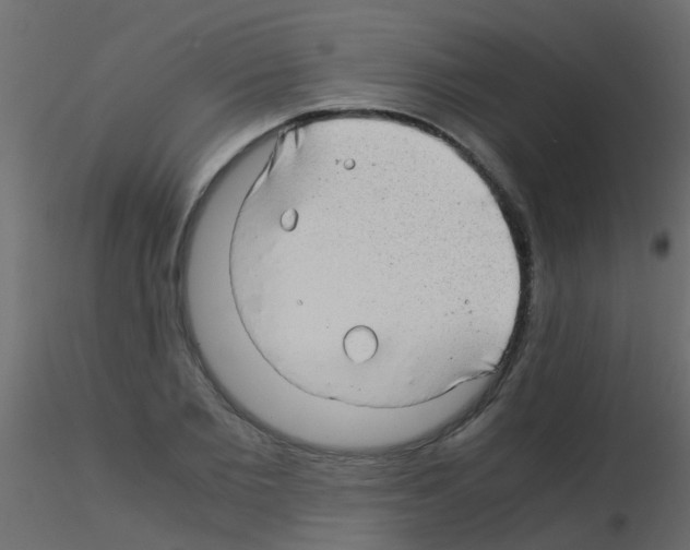 X0000115820885200912241933