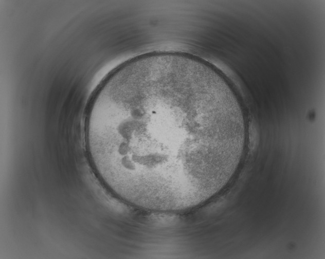 X0000115820886200912241933