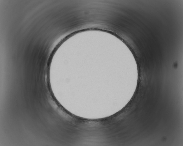 X0000115820888200912241933