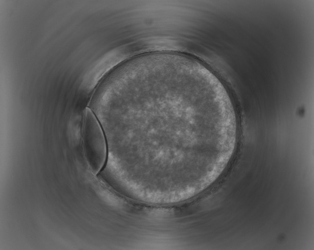 X0000115820889200912241933