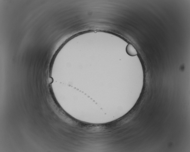 X0000115820891200912241932