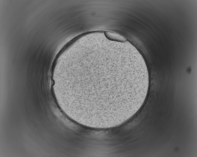 X0000115820892200912241932