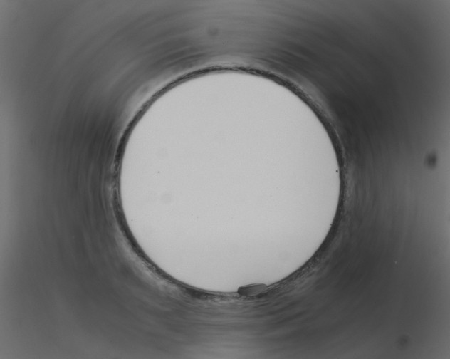 X0000115820895200912241932