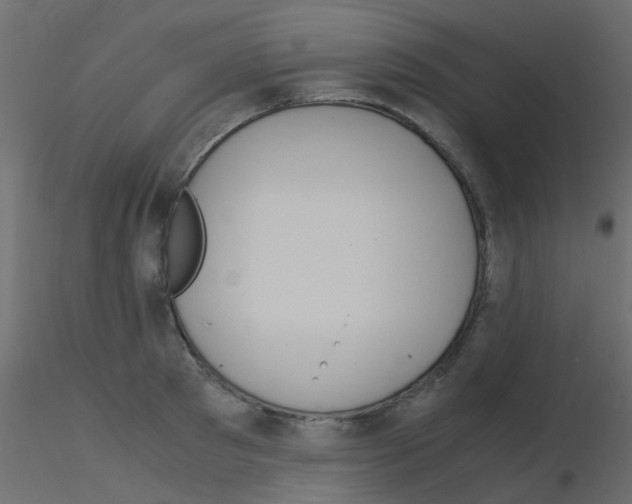 X0000115820897200912241932