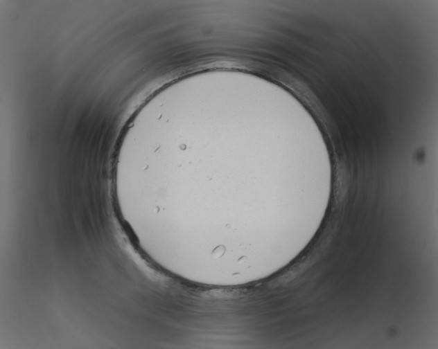 X0000115820898200912241932