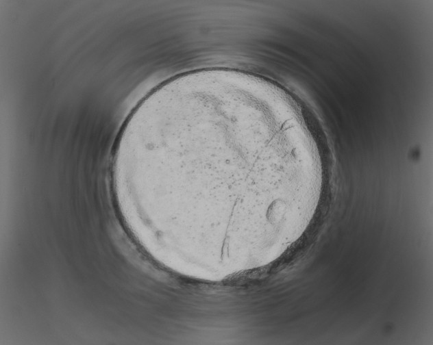 X0000115820899200912241932