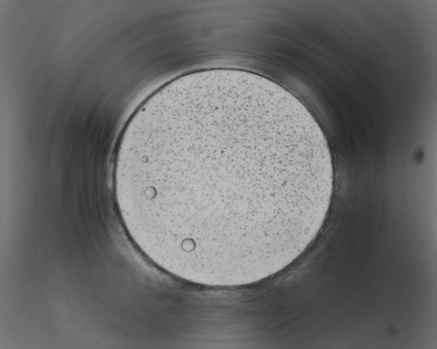 X0000115820900200912241932