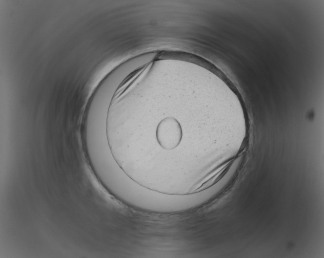 X0000115820901200912241932