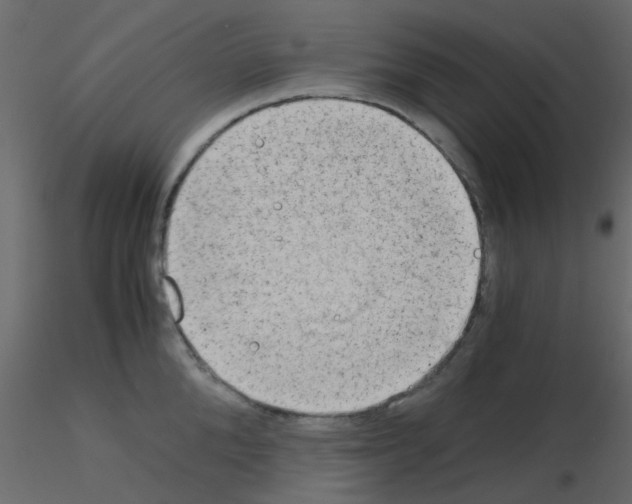 X0000115820904200912241932