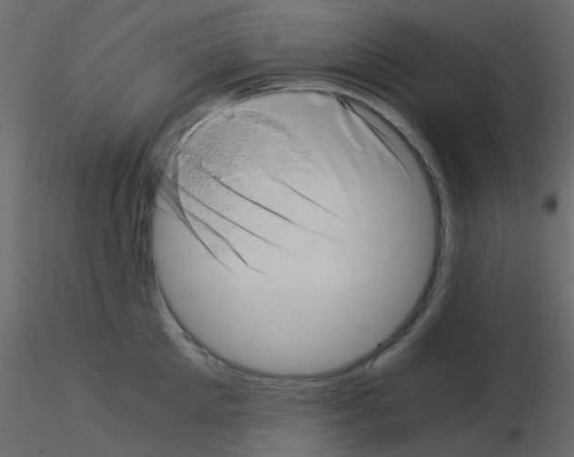 X0000115820905200912241932