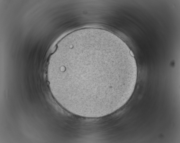 X0000115820908200912241932