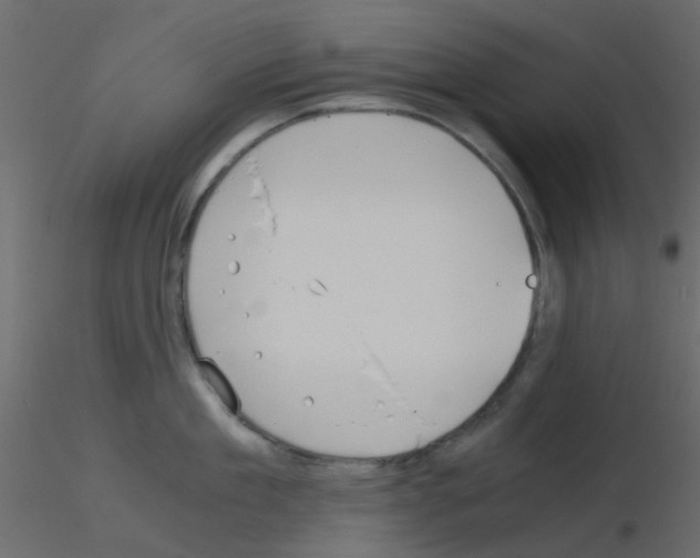 X0000115820909200912241932