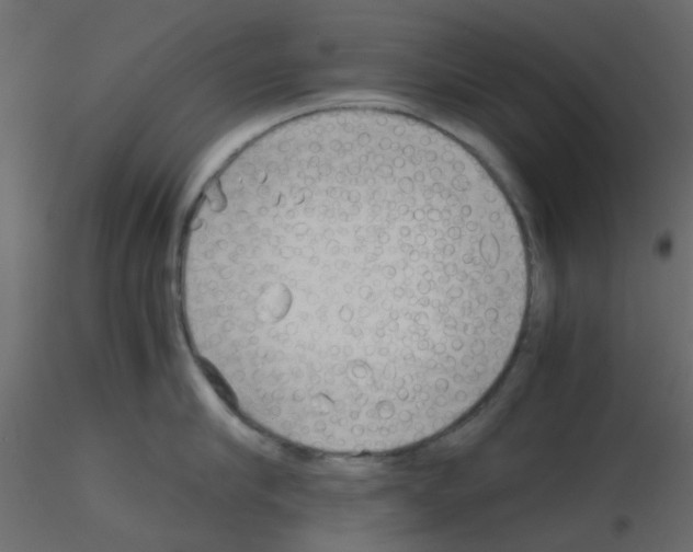 X0000115820910200912241932