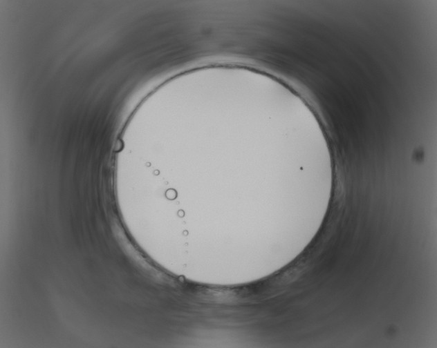 X0000115820911200912241932