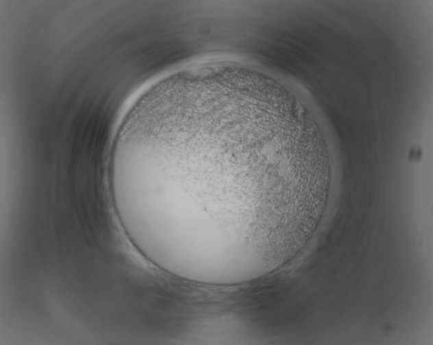 X0000115820912200912241932