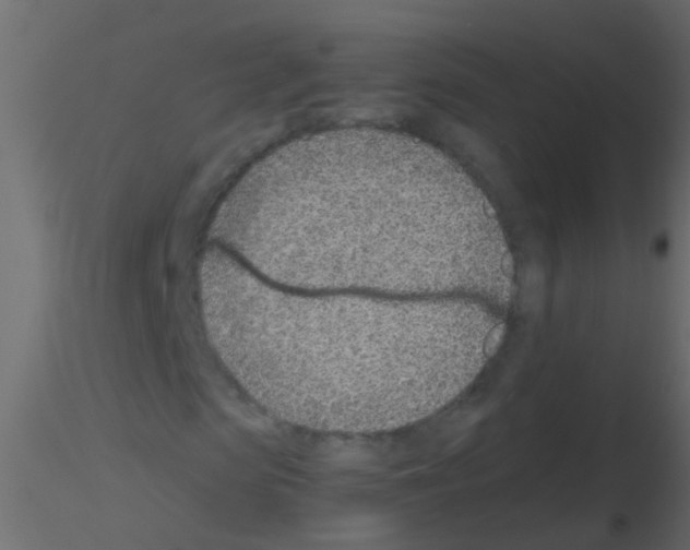 X0000115820913200912241932