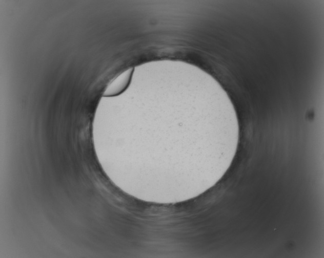 X0000115820914200912241932