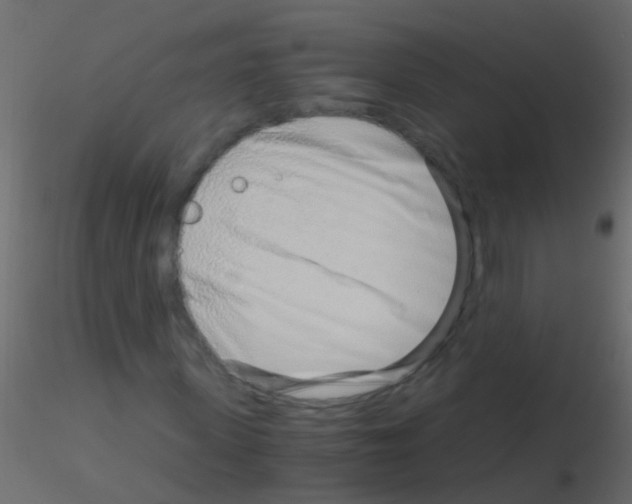 X0000115820915200912241932