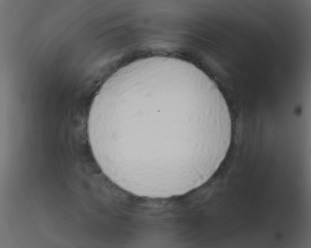 X0000115820917200912241932